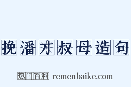 挽潘才叔母造句是什么意思的图片
